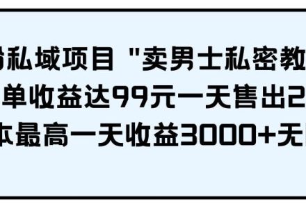 男粉私域项目 卖男士私密教程 每一单收益达99元一天售出20单-创艺项目网