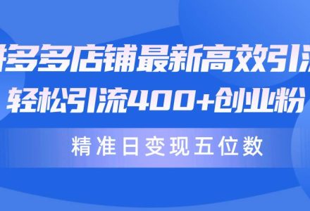 拼多多店铺最新高效引流术，轻松引流400+创业粉，精准日变现五位数！-创艺项目网