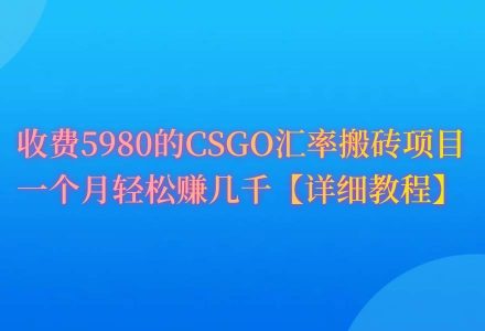 CSGO装备搬砖，月综合收益率高达60%，你也可以！-创艺项目网