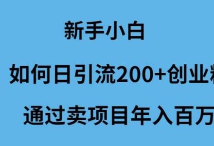 新手小白如何日引流200+创业粉通过卖项目年入百万-创艺项目网