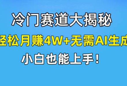 快手无脑搬运冷门赛道视频“仅6个作品 涨粉6万”轻松月赚4W+-创艺项目网