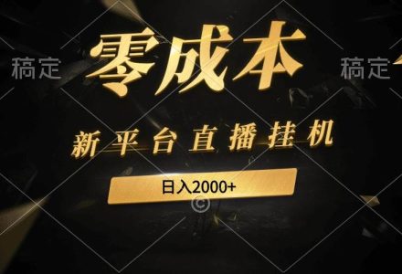 新平台直播挂机最新玩法，0成本，不违规，日入2000+-创艺项目网