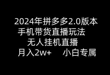 2024年拼多多2.0版本，手机带货直播玩法，无人挂机直播， 月入2w+， 小…-创艺项目网