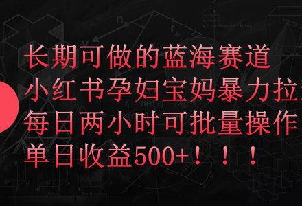 小红书孕妇宝妈暴力拉新玩法，每日两小时，单日收益500+-创艺项目网