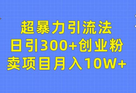 超暴力引流法，日引300+创业粉，卖项目月入10W+-创艺项目网