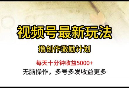 视频号最新玩法，每日一小时月入5000+-创艺项目网