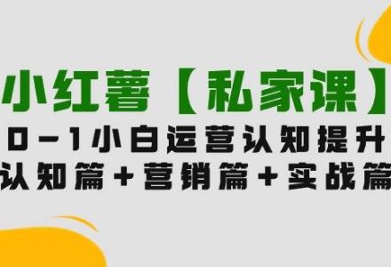 小红薯【私家课】0-1玩赚小红书内容营销，认知篇+营销篇+实战篇（11节课）-创艺项目网