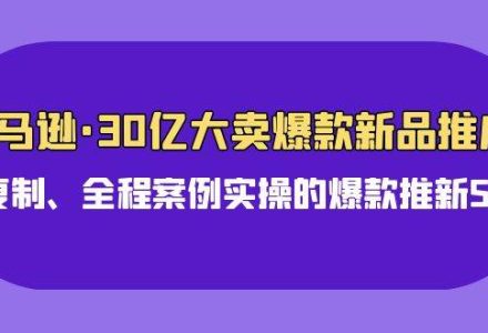 亚马逊30亿·大卖爆款新品推广，可复制、全程案例实操的爆款推新SOP-创艺项目网