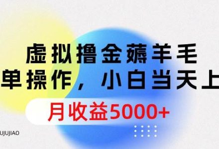 虚拟撸金薅羊毛，简单操作，小白当天上手，月收益5000+-创艺项目网