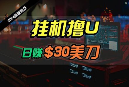 日赚30美刀，2024最新海外挂机撸U内部项目，全程无人值守，可批量放大-创艺项目网