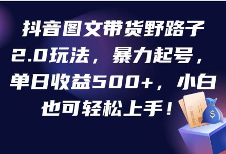 抖音图文带货野路子2.0玩法，暴力起号，单日收益500+，小白也可轻松上手！-创艺项目网