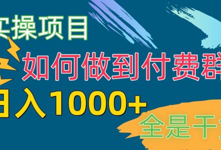 [实操项目]付费群赛道，日入1000+-创艺项目网