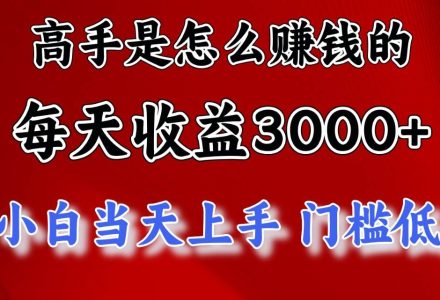 高手是怎么赚钱的，一天收益3000+ 这是穷人逆风翻盘的一个项目，非常稳…-创艺项目网