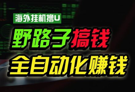 海外挂机撸U新平台，日赚8-15美元，全程无人值守，可批量放大，工作室内…-创艺项目网