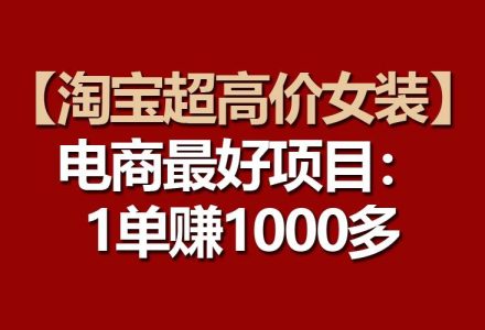 【淘宝超高价女装】电商最好项目：一单赚1000多-创艺项目网