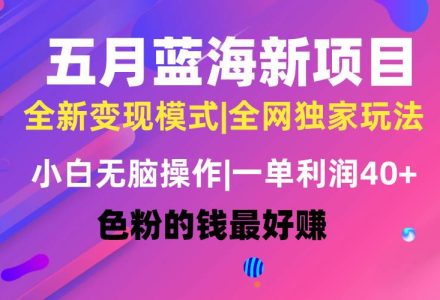 五月蓝海项目全新玩法，小白无脑操作，一天几分钟，矩阵操作，月入4万+-创艺项目网