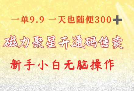 快手磁力聚星码信息差 售卖  一单卖9.9  一天也轻松300+ 新手小白无脑操作-创艺项目网