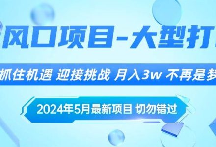 2024年5月最新风口项目，抓住机遇，迎接挑战，月入3w+，不再是梦-创艺项目网