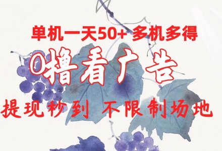 0撸看广告 单机一天50+多机多得 提现秒到 不限制场地操作-创艺项目网