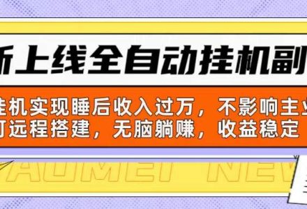 新上线全自动挂机副业：靠挂机实现睡后收入过万，不影响主业可远程搭建…-创艺项目网